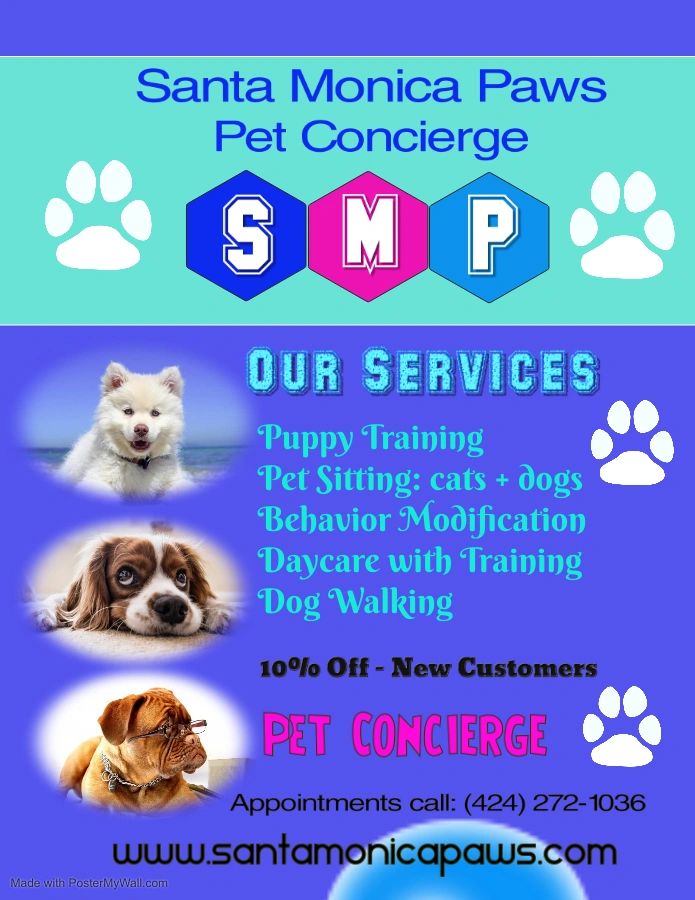 Santa Monica Paws Mobile Dog Grooming Marina del Rey, California